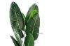 Picture of Test No Order - ARTIFICIAL PLANT Tropical Banana Leaf (120cm/180cm)