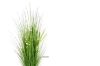 Picture of Test No Order - ARTIFICIAL PLANT Onion Grass (48cm/150cm)