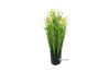 Picture of Test No Order - Onion Grass - 48cm