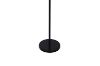 Picture of Test No Order - FLOOR LAMP 528 with Clear Round Glass Shades (Black)