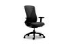 Picture of Test No Order - SPACE Office Chair (Black)