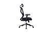 Picture of Test No Order - VALENCIA Ergonomic Office Chair (Black)