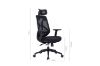 Picture of Test No Order - VALENCIA Ergonomic Office Chair (Black)