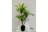 Picture of Test No Order - ARTIFICIAL PLANT BRAZILWOOD (Black Plastic Pot) - H180cm