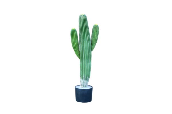 Picture of Test No Order - ARTIFICIAL PLANT CACTUS with Black Pot (90cm High)