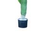 Picture of Test No Order - ARTIFICIAL PLANT CACTUS with Black Pot (90cm High)