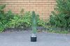 Picture of Test No Order - ARTIFICIAL PLANT CACTUS with Black Pot (90cm High)