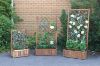 Picture of Test No Order - BISTRO Outdoor Wooden Flower Pot with Trellis (Medium) (80x38x150)