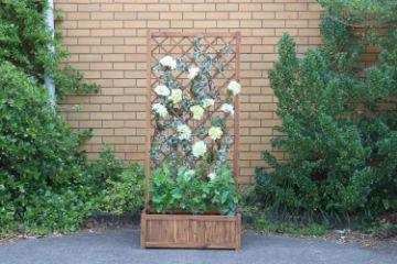 Picture of Test No Order - BISTRO Outdoor Acacia Wood Flower Pot with Trellis (Large) (80x38x180)