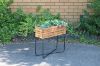 Picture of Test No Order - BISTRO Outdoor Rectangular Wooden Pot/Planter with Steel Legs (62x22x60)