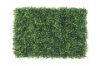 Picture of Test No Order - ARTIFICIAL PLANT Green Wall 3M² (Indoor/Outdoor Wall Decoration) - Boxwood