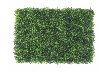 Picture of Test No Order - ARTIFICIAL PLANT Green Wall 3M² (Indoor/Outdoor Wall Decoration) - Boxwood