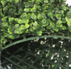 Picture of Test No Order - ARTIFICIAL PLANT Green Wall 3M² (Indoor/Outdoor Wall Decoration) - Boxwood