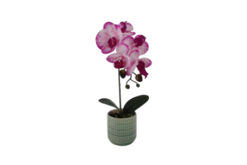 Picture of Test No Order - ARTIFICIAL PLANT Pink-White Orchid with Green Vase (H37cm)