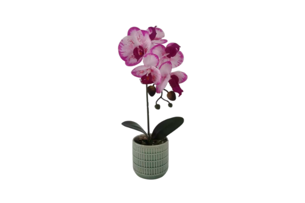 Picture of Test No Order - ARTIFICIAL PLANT Pink-White Orchid with Green Vase (H37cm)