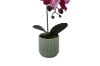 Picture of Test No Order - ARTIFICIAL PLANT Pink-White Orchid with Green Vase (H37cm)