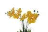 Picture of Test No Order - ARTIFICIAL PLANT Yellow Orchid with White Vase (H55cm)