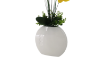 Picture of Test No Order - ARTIFICIAL PLANT Yellow Orchid with White Vase (H55cm)