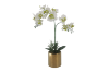 Picture of Test No Order - ARTIFICIAL PLANT White Orchid with Golden Vase (H55cm)