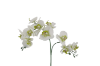 Picture of Test No Order - ARTIFICIAL PLANT White Orchid with Golden Vase (H55cm)