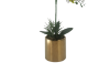 Picture of Test No Order - ARTIFICIAL PLANT White Orchid with Golden Vase (H55cm)