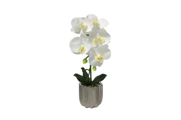 Picture of Test No Order - ARTIFICIAL PLANT White Orchid with Silver Vase (H45cm)