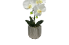 Picture of Test No Order - ARTIFICIAL PLANT White Orchid with Silver Vase (H45cm)