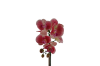 Picture of Test No Order - ARTIFICIAL PLANT Red Orchid with Round Silver Vase (H45cm)