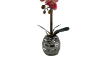 Picture of Test No Order - ARTIFICIAL PLANT Red Orchid with Round Silver Vase (H45cm)