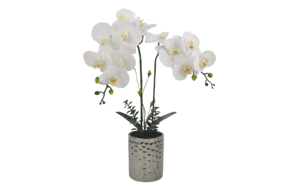 Picture of Test No Order - ARTIFICIAL PLANT White Orchid with Silver Vase (H56cm)