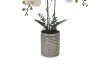 Picture of Test No Order - ARTIFICIAL PLANT White Orchid with Silver Vase (H56cm)