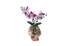 Picture of Test No Order - ARTIFICIAL PLANT Pink-White Orchid with Seashell Vase (H44cm)