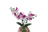 Picture of Test No Order - ARTIFICIAL PLANT Pink-White Orchid with Seashell Vase (H44cm)