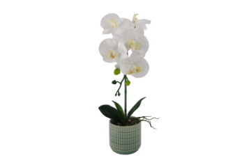 Picture of Test No Order - ARTIFICIAL PLANT White Orchid with Green Vase (H45cm)