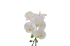 Picture of Test No Order - ARTIFICIAL PLANT White Orchid with Green Vase (H45cm)