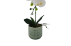 Picture of Test No Order - ARTIFICIAL PLANT White Orchid with Green Vase (H45cm)