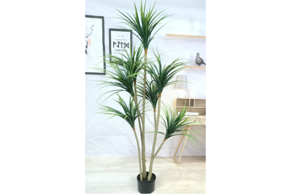 Picture of Test No Order - ARTIFICIAL PLANT Dracaena Tree (H170cm)