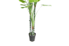 Picture of Test No Order - ARTIFICIAL PLANT Taro Tree