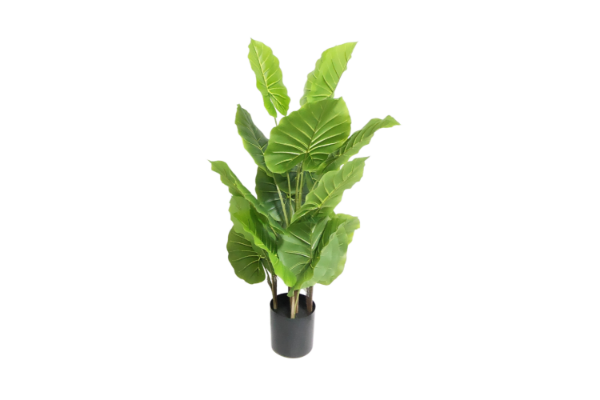 Picture of Test No Order - ARTIFICIAL PLANT Water Arum