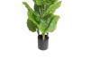 Picture of Test No Order - ARTIFICIAL PLANT Water Arum