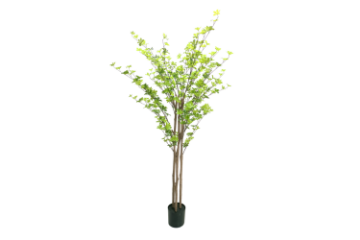 Picture of Test No Order - ARTIFICIAL PLANT Watercress Tree (H180)