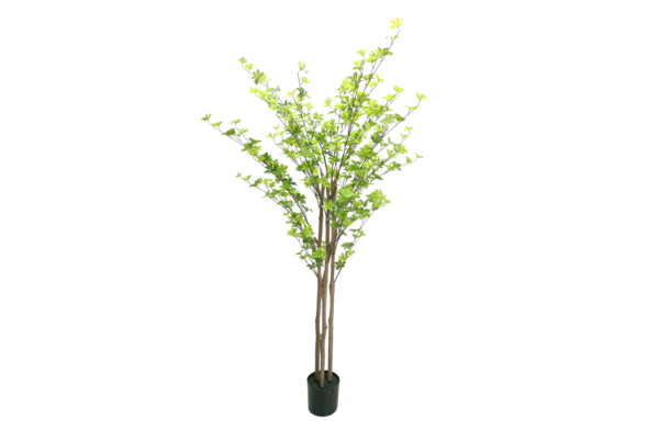 Picture of Test No Order - ARTIFICIAL PLANT Watercress Tree (H180)