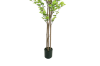 Picture of Test No Order - ARTIFICIAL PLANT Watercress Tree (H180)