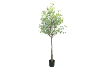 Picture of Test No Order - ARTIFICIAL PLANT Eucalyptus Tree (H180)