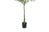 Picture of Test No Order - ARTIFICIAL PLANT Eucalyptus Tree (H180)