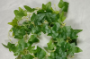 Picture of Test No Order - ARTIFICIAL PLANT Sweet Potato Vines 01 (2M Long)