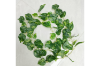 Picture of Test No Order - ARTIFICIAL PLANT Sweet Potato Vines 02 (2M Long)