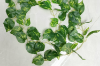 Picture of Test No Order - ARTIFICIAL PLANT Sweet Potato Vines 02 (2M Long)