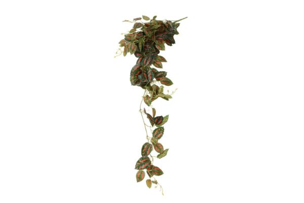 Picture of Test No Order - ARTIFICIAL PLANT Wall Hanging Reddish Vines