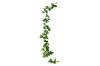 Picture of Test No Order - ARTIFICIAL PLANT Sweet Potato Vines 01 (2M Long)